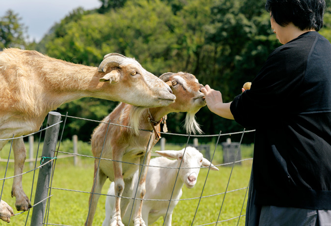 自然と動物に癒される。
