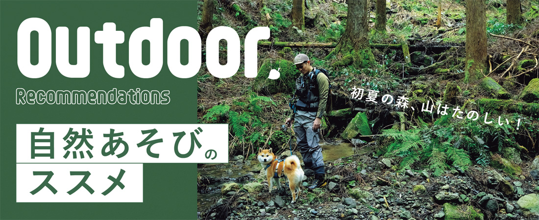 【特集】初夏の森、山はたのしい！ 自然あそびのススメ　月刊ウララ STYLE　2025年5月号