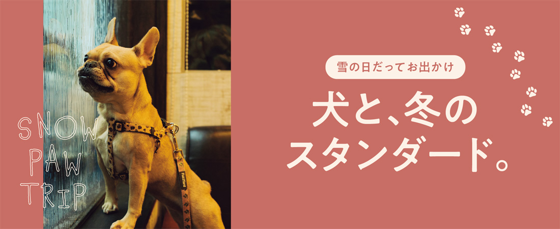 【特集】雪の日だって、お出かけ 犬と、冬のスタンダード。　月刊ウララ STYLE　2026年1月号