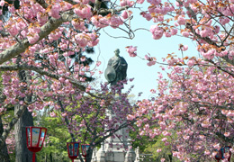 伝説が息づく、県境のまちへ。
