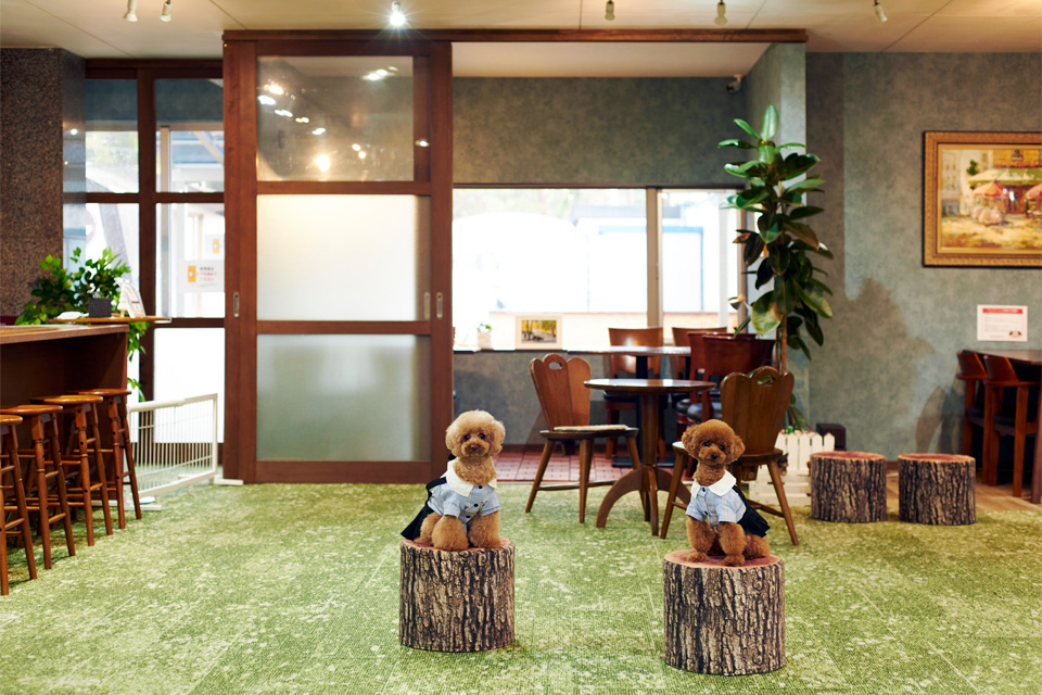 編集部おすすめ 月刊ウララ 2026年1月号