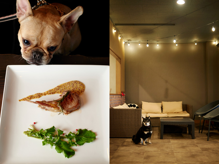 編集部おすすめ 月刊ウララ 2026年1月号