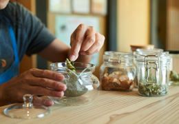 知って、味わう。野草とヨモギのある暮らし。
